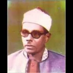 محمود حسين الكحلى