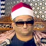 محمد عبد العزيز حصان