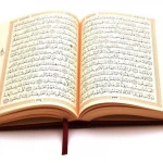 يحيى بن علي الحجوري