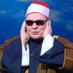 السيد محمد السيد حسن