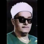علي عبد الجواد المنياوي