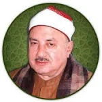 محمد الطوخي
